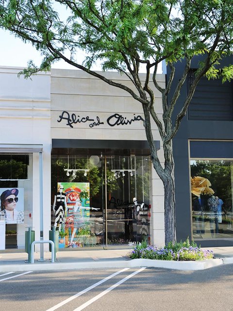 Alice and olivia store store